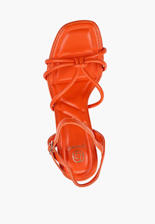 фото Босоножки givana