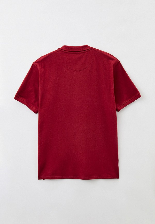 фото Поло van hipster