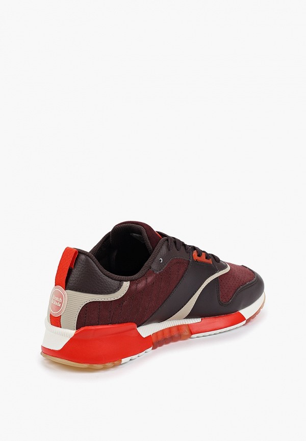 фото Кроссовки scotch&soda