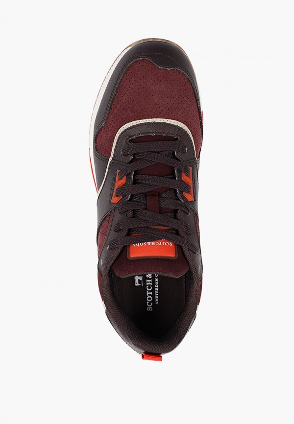 фото Кроссовки scotch&soda