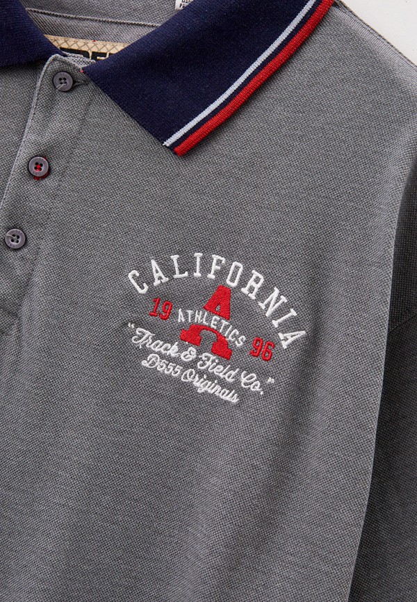 фото Поло d555