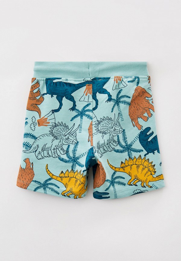 фото Шорты спортивные dpam