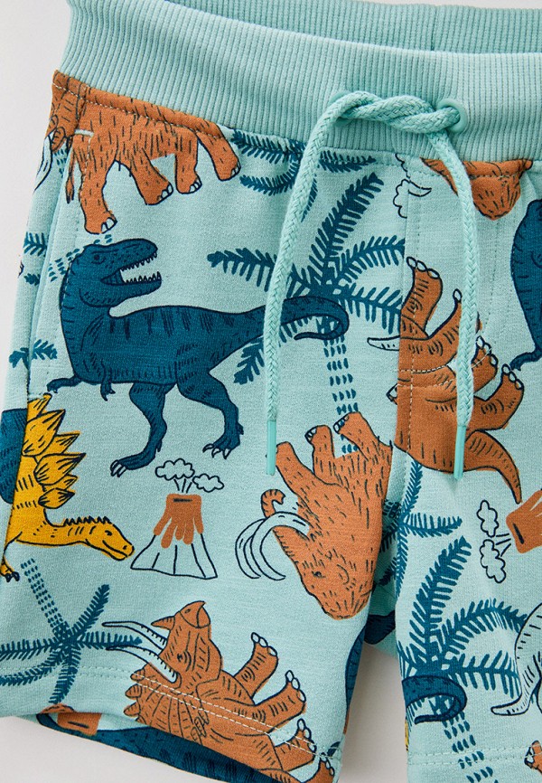 фото Шорты спортивные dpam