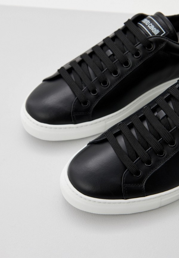 фото Кеды roberto cavalli