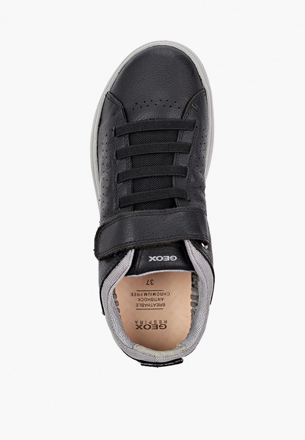 фото Кеды geox