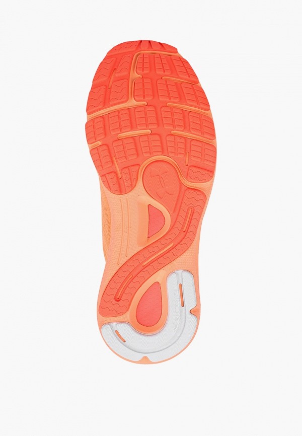 фото Кроссовки under armour