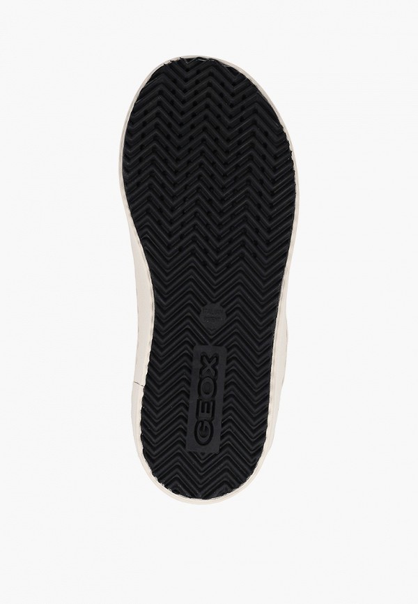 фото Кеды geox