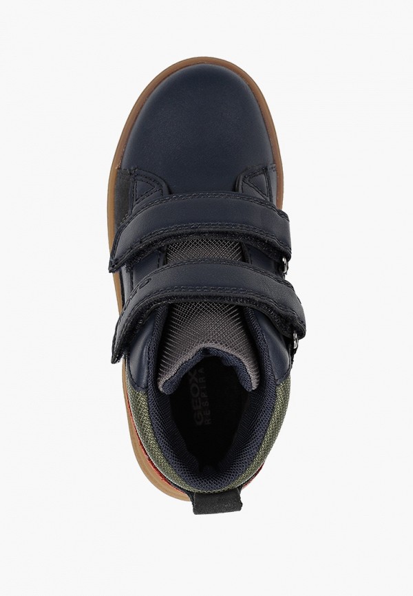 фото Кеды geox