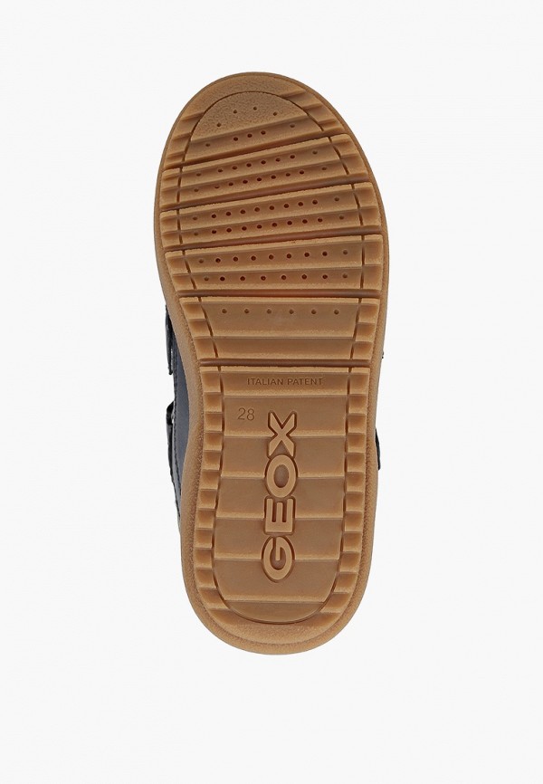 фото Кеды geox