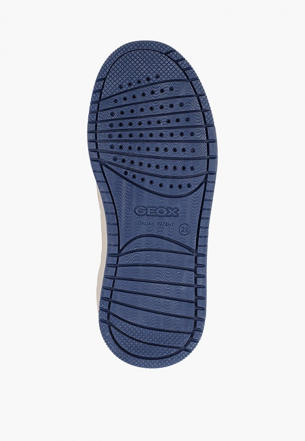 фото Кеды geox