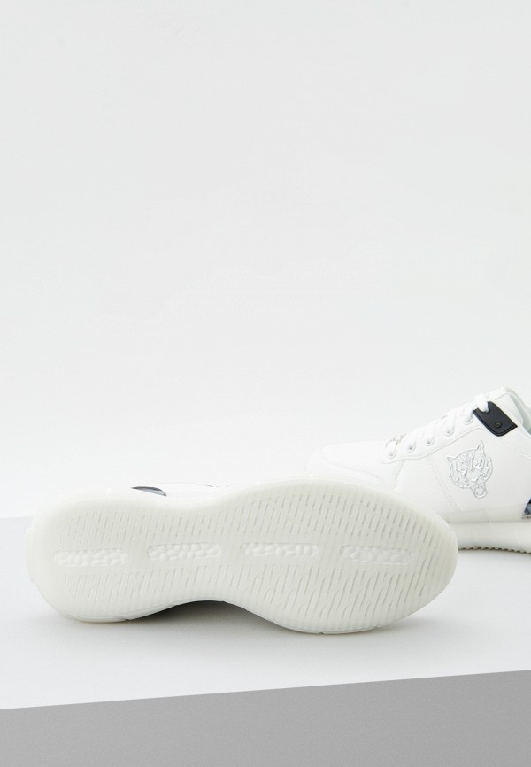 фото Кроссовки plein sport