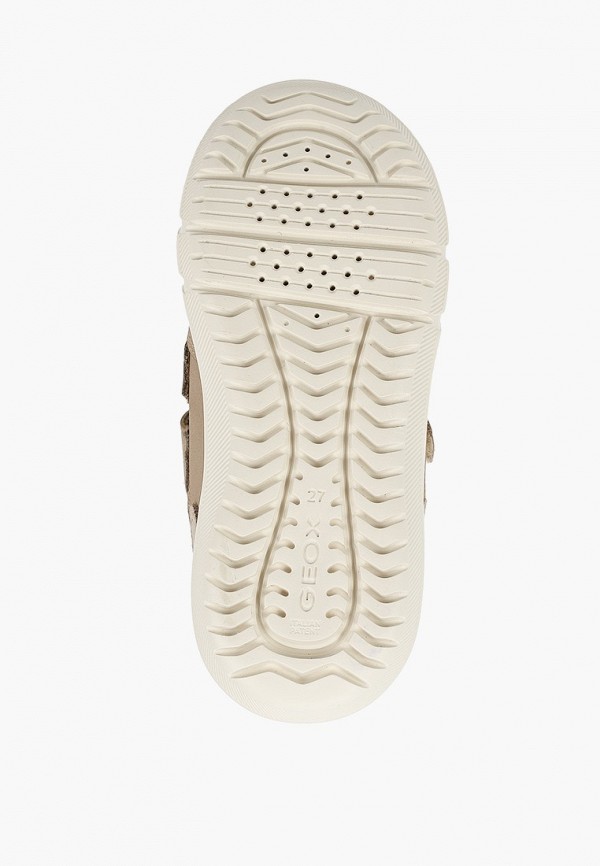 фото Кеды geox