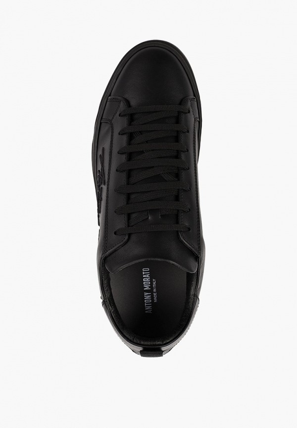 фото Кеды antony morato