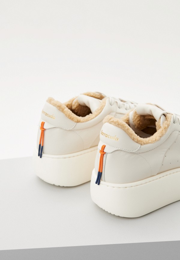 фото Кеды barracuda