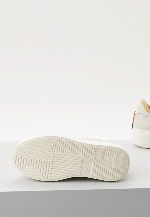 фото Кеды barracuda