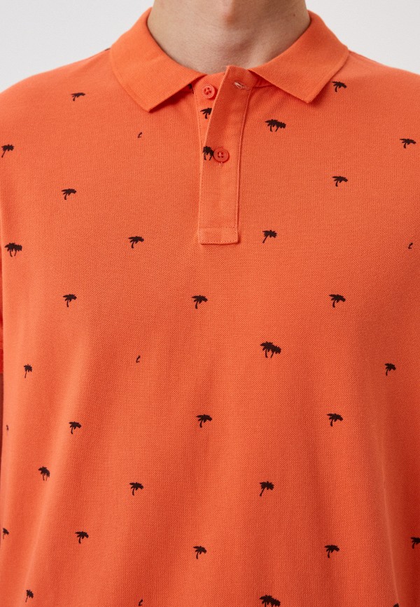 фото Поло loft