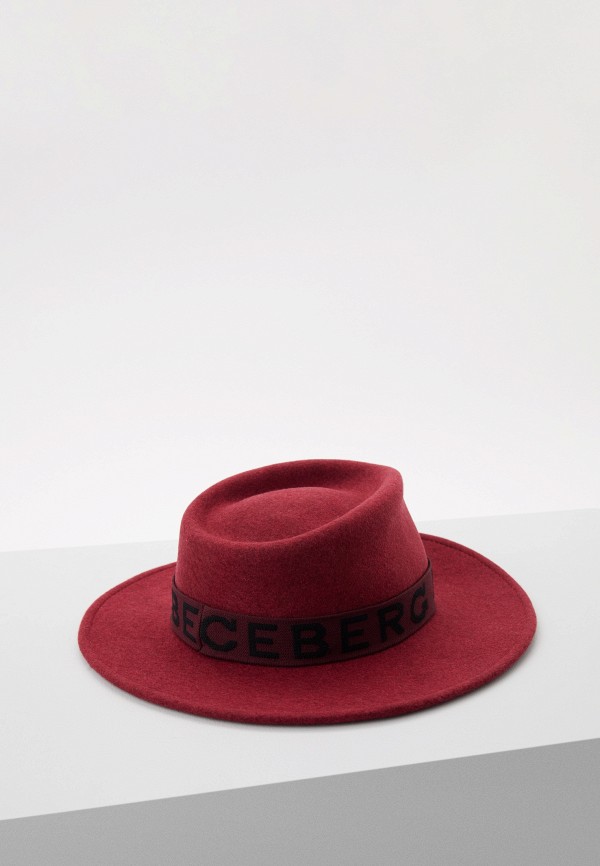 фото Шляпа iceberg