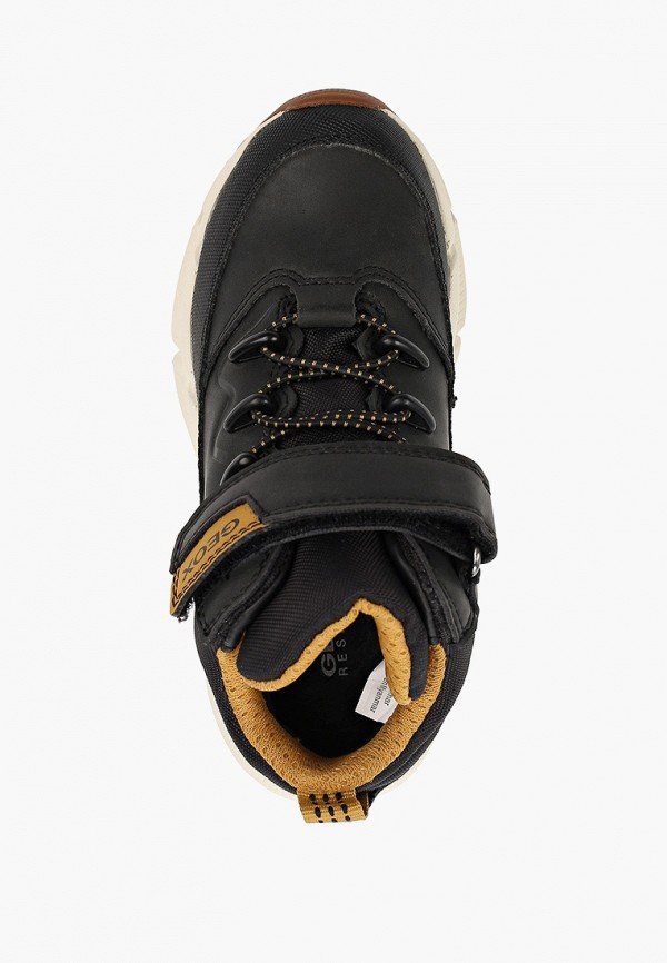 фото Кроссовки geox