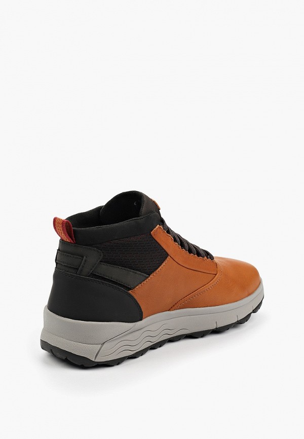 фото Ботинки geox