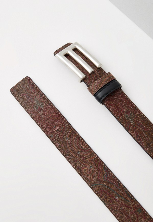 фото Ремень etro