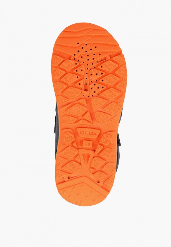 фото Ботинки geox