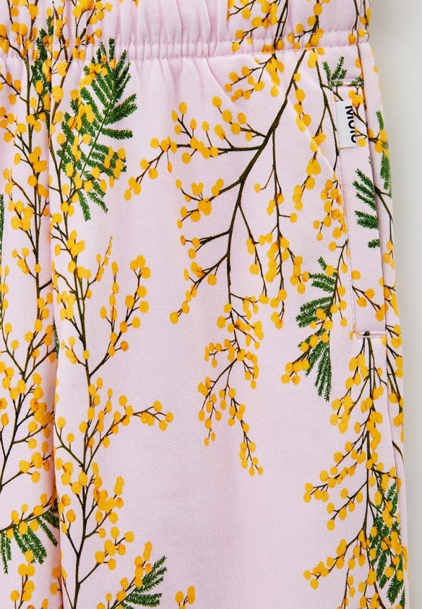 фото Брюки спортивные molo