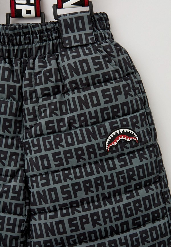 фото Брюки утепленные sprayground