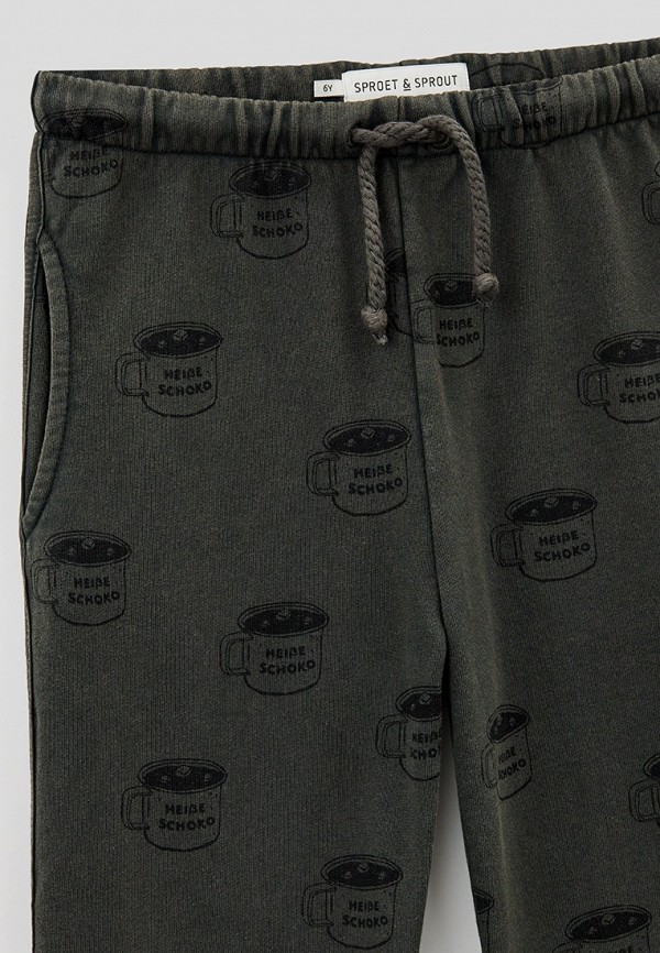 фото Брюки спортивные sproet & sprout