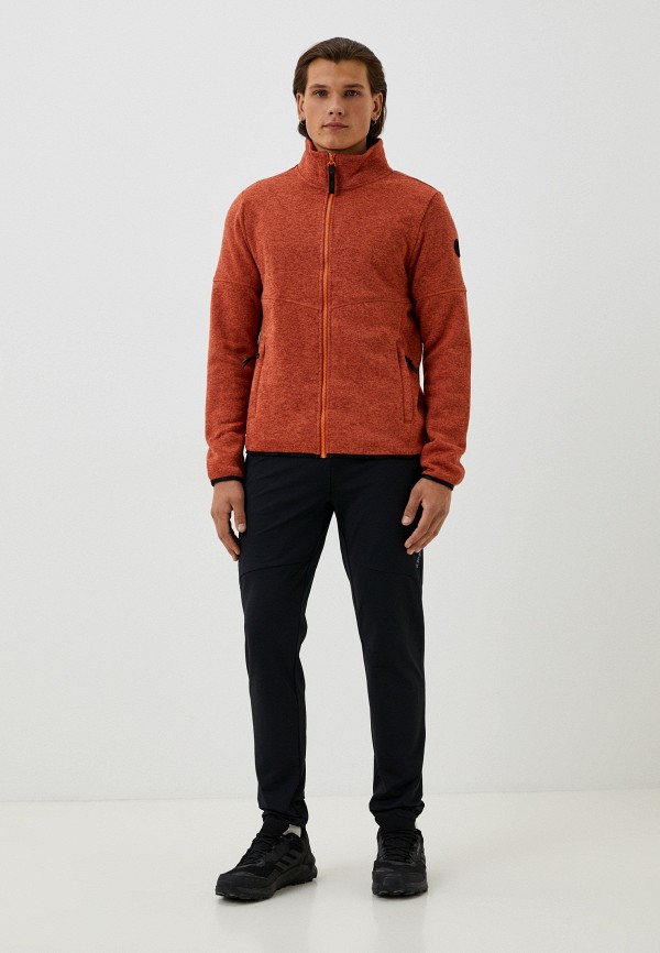 фото Брюки спортивные icepeak