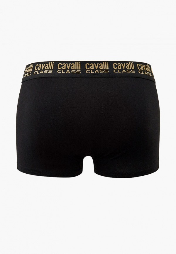 фото Трусы 2 шт. cavalli class