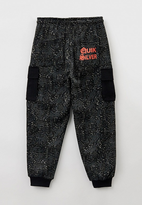 фото Брюки спортивные quiksilver