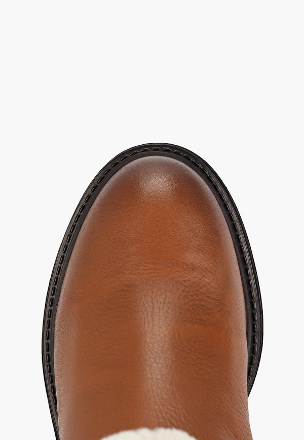 фото Полусапоги geox