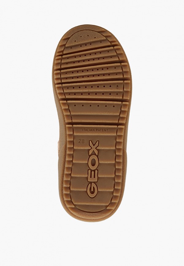 фото Сапоги geox