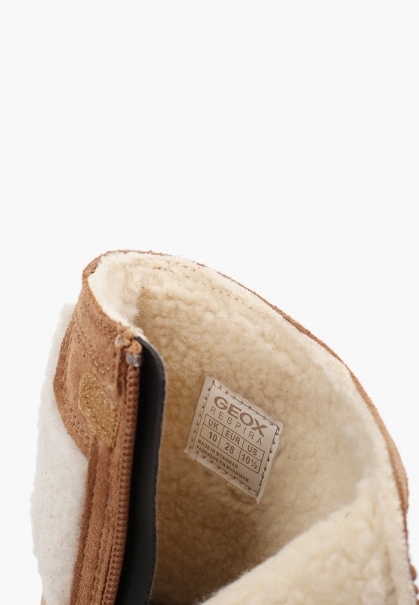 фото Сапоги geox