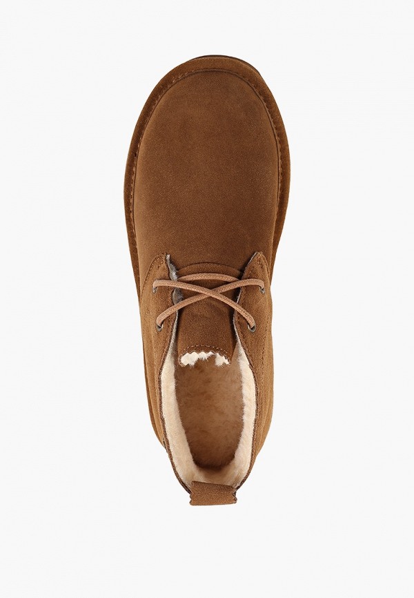 фото Ботинки bearpaw
