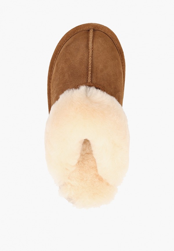 фото Тапочки bearpaw