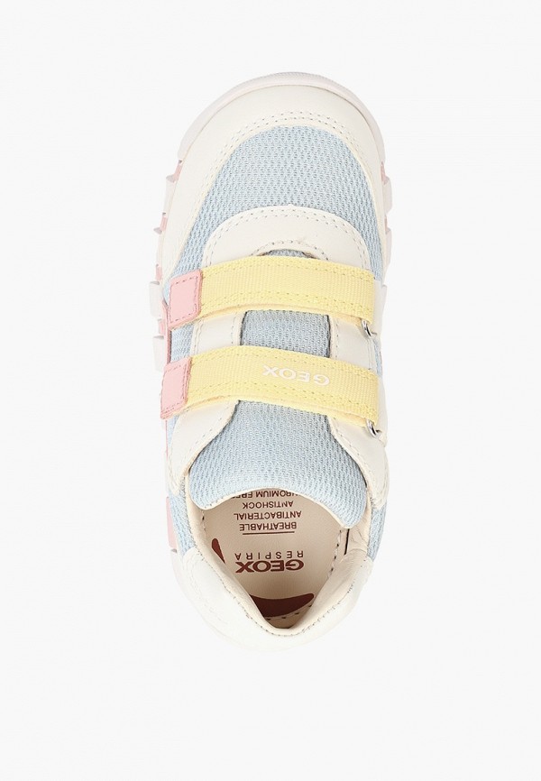 фото Кеды geox