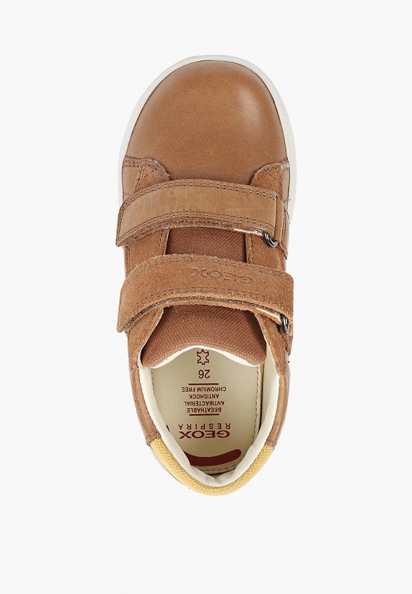 фото Кеды geox