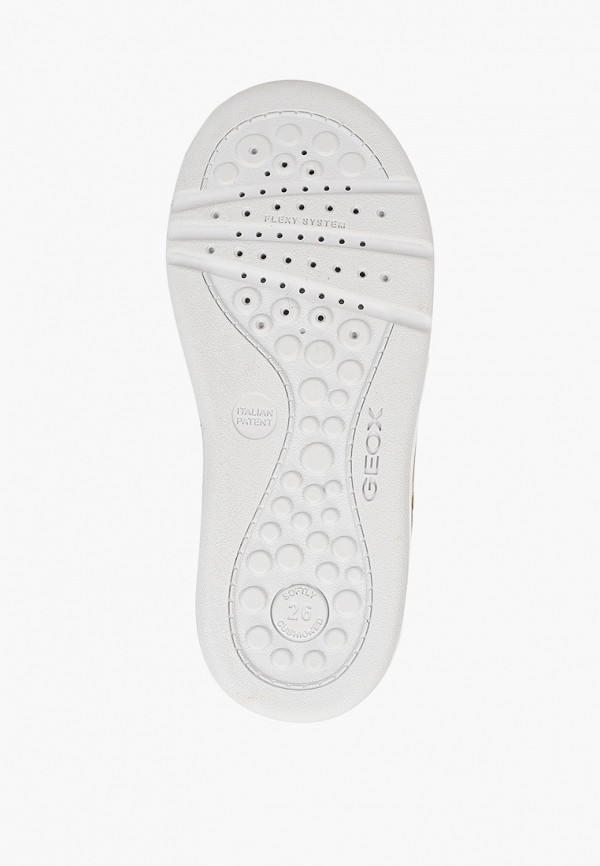 фото Кеды geox