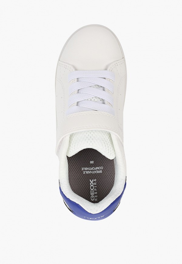 фото Кеды geox