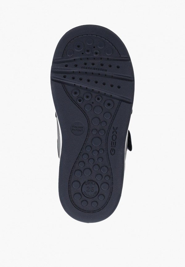 фото Кеды geox