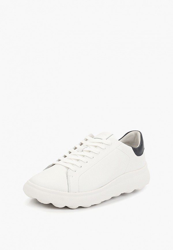 фото Кеды geox