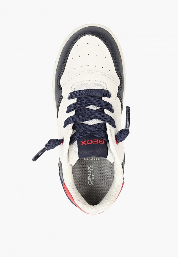 фото Кеды geox