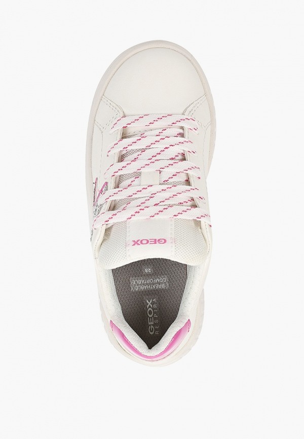 фото Кеды geox