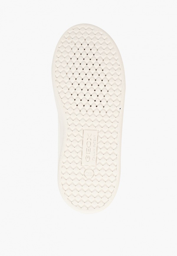 фото Кеды geox