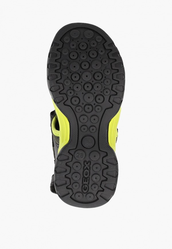 фото Сандалии geox