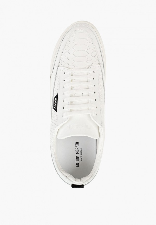 фото Кеды antony morato