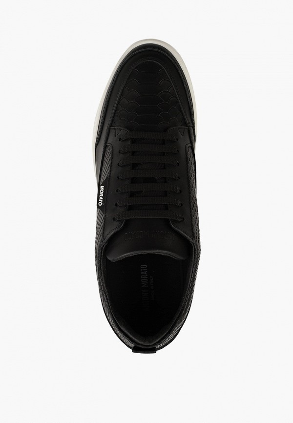 фото Кеды antony morato