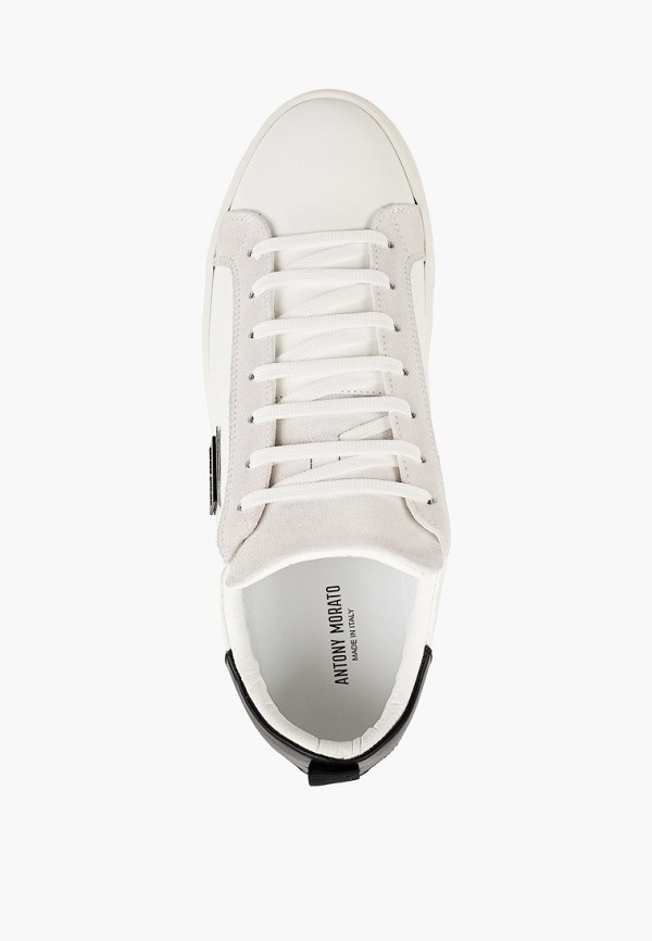 фото Кеды antony morato