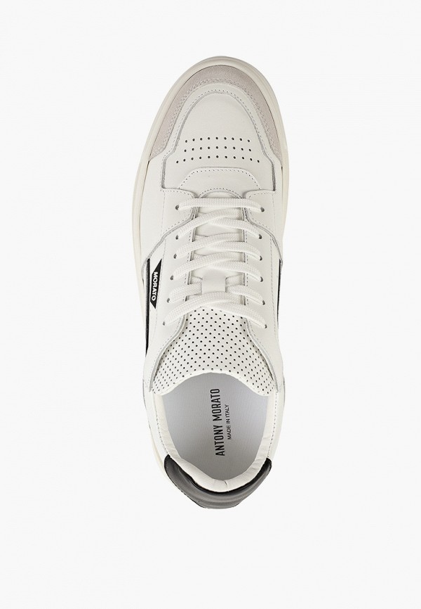 фото Кеды antony morato